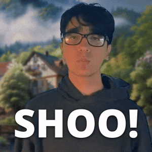 shoo, shoo-in, shoe-in, idioms, English