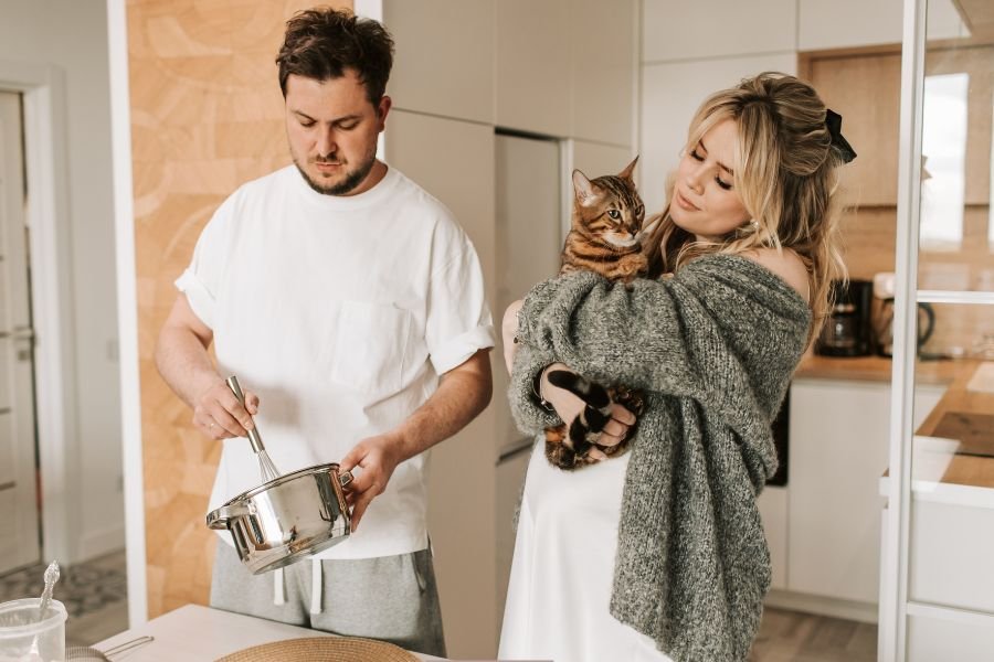 cats; aluminum foil; cats scared of foil; foil on counters; cat deterrent