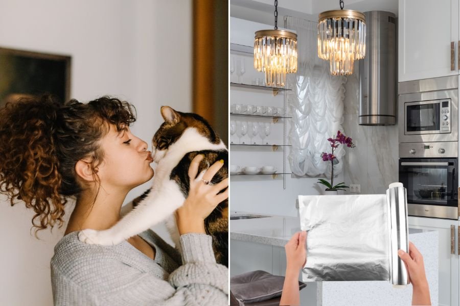 cats; aluminum foil; cats scared of foil; foil on counters; cat deterrent