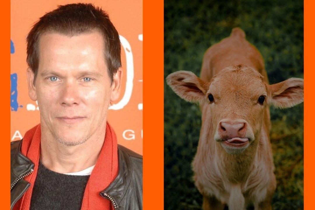 Kevin Bacon surprises Kyra Sedgwick with two adorable baby calves for her 60th birthday