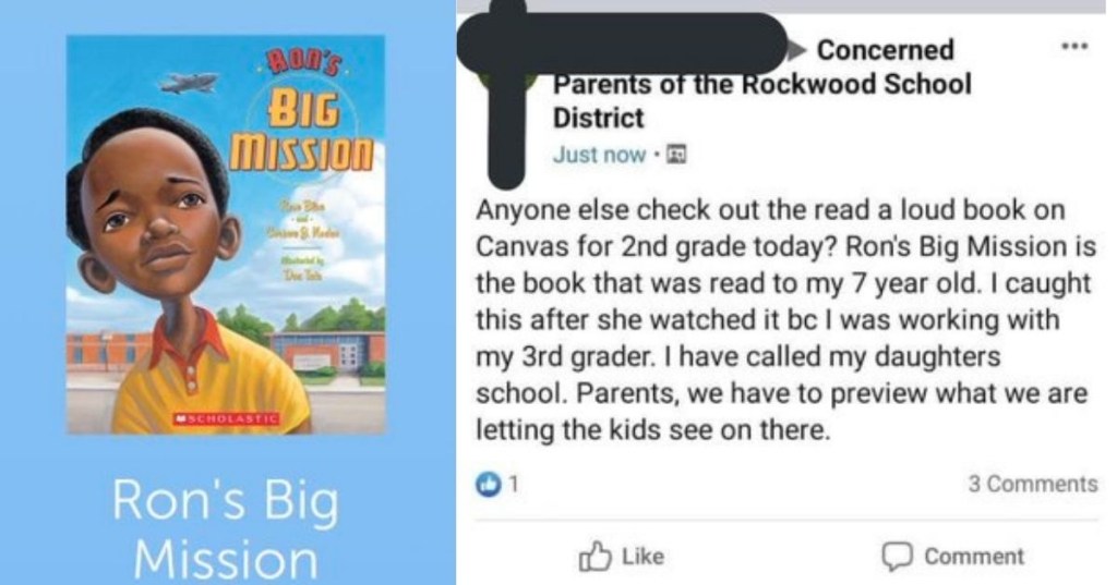 book bans, books, reading, elementary school, schools, education, racism, kids books, childrens books, parents, teachers