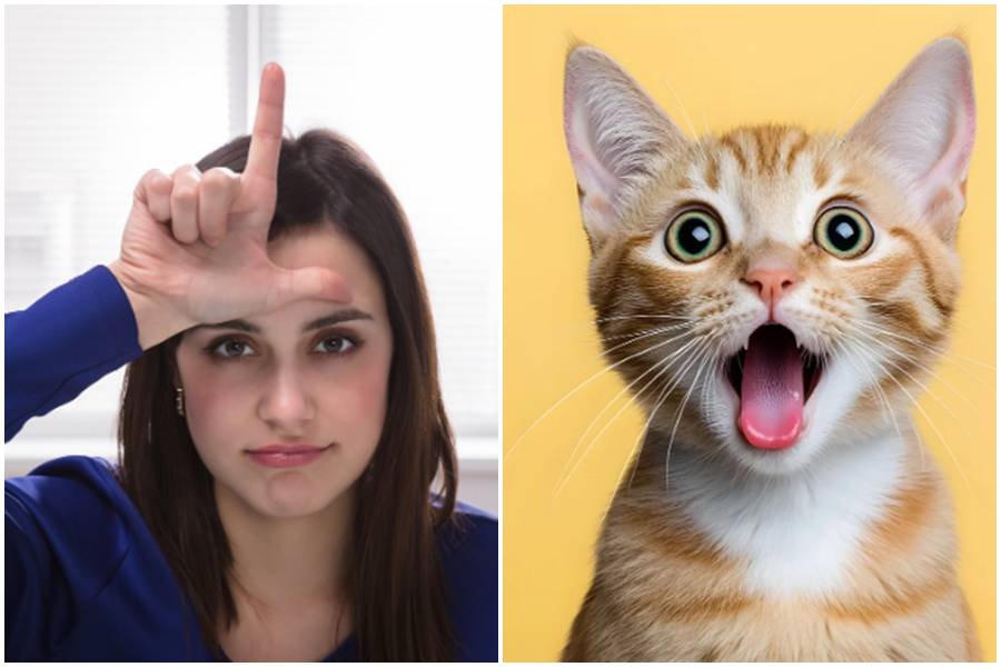 Woman gives stray cat the most Gen X name ever, and her friend can't stand it