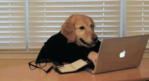 gif, dog, working, idioms, funny, sick