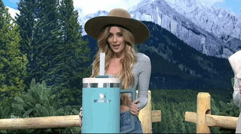 water bottle, stanley cup, water bottles, reusable water bottle, how to clean water bottle