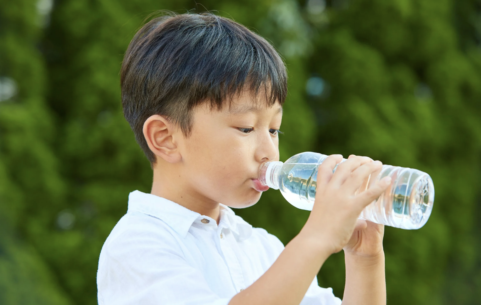 nanoplastics, bottled water, microplastics, water safety, public health, Columbia University, environmental health, tap water, plastic pollution, scientific study