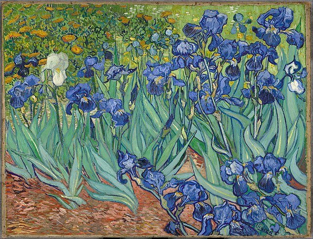 vincent van gogh, painting, art, irises, master