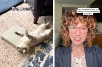 cats, cats concrete, cat enrichment, cat toys, cat behavior, pet behaviorist, cattok