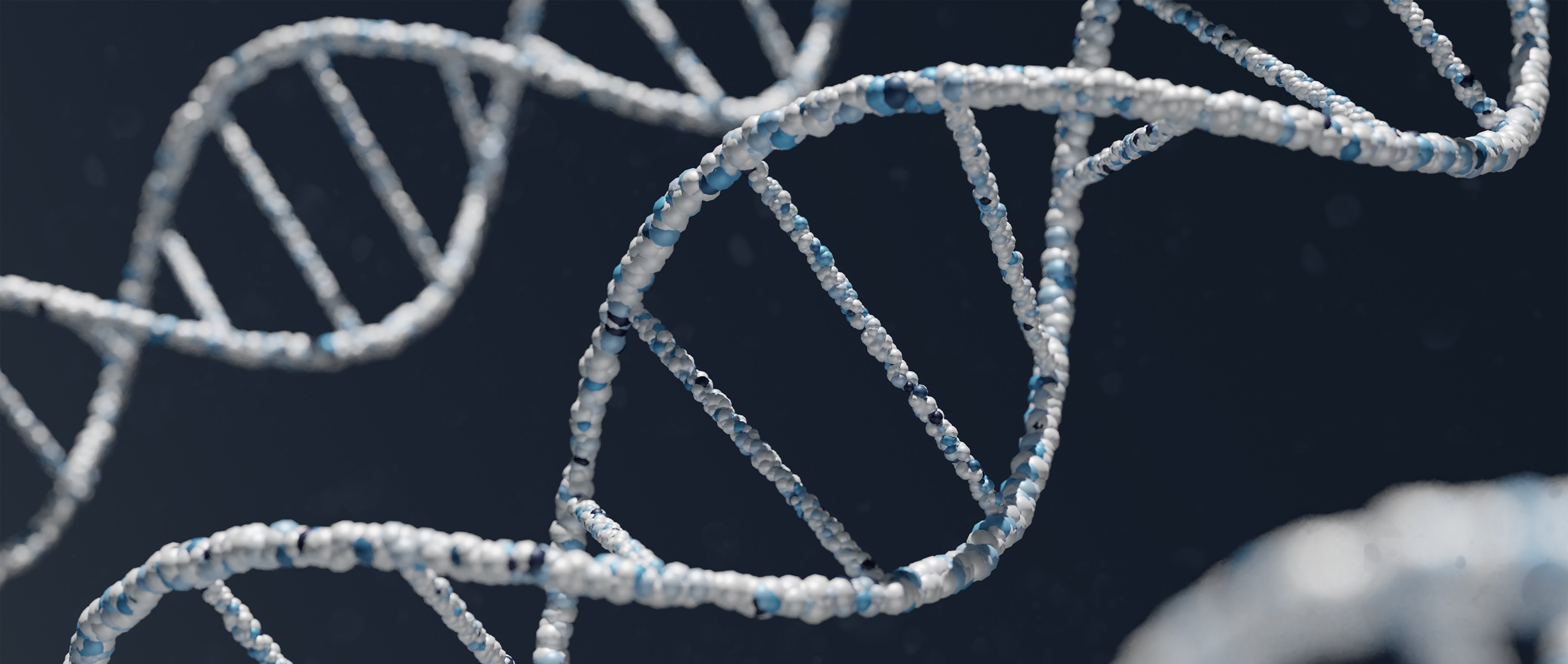 dna, dna strand, dna test, paternity, genetics