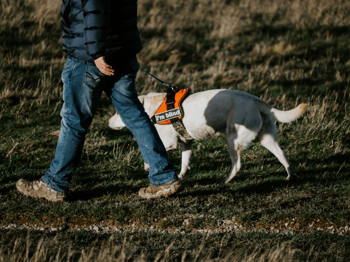 blind, visually impaired, sighted, love, dating, relationships, disabilities
