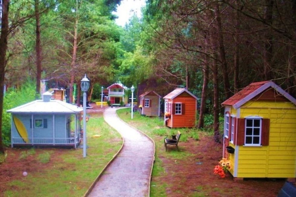 cat retirement village; cat retirement home; cat rescue; elderly cat rescue