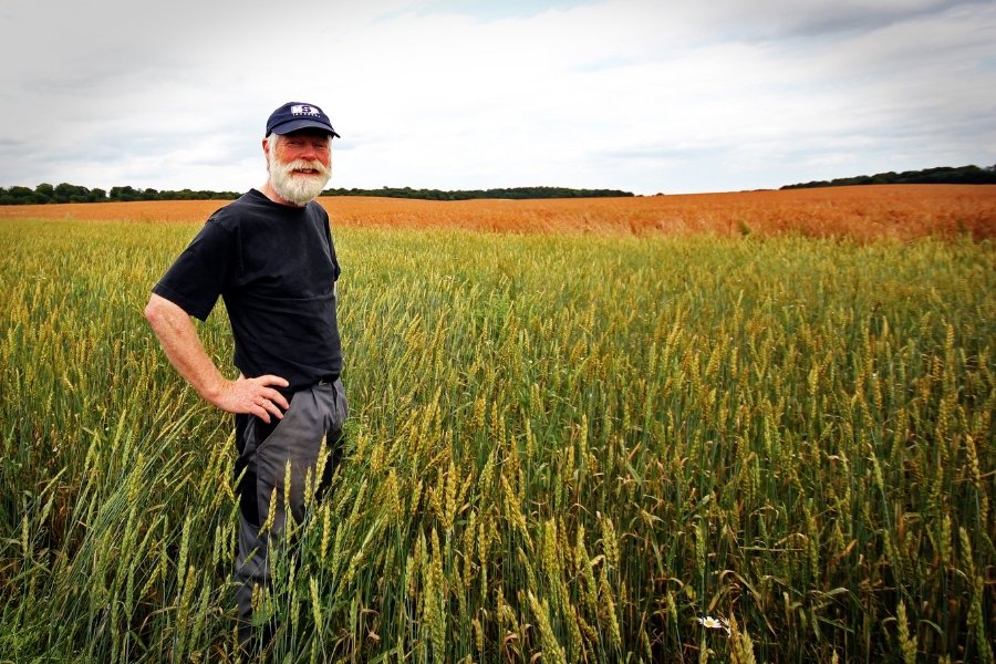 farmer, conservatives, liberals, right and left, politics