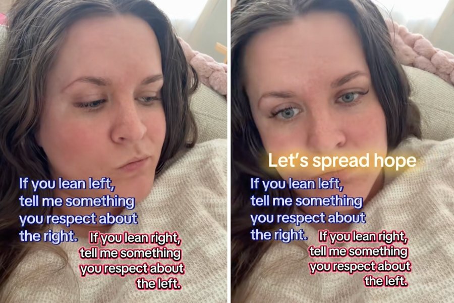 america, united states, polarization, political division, common ground