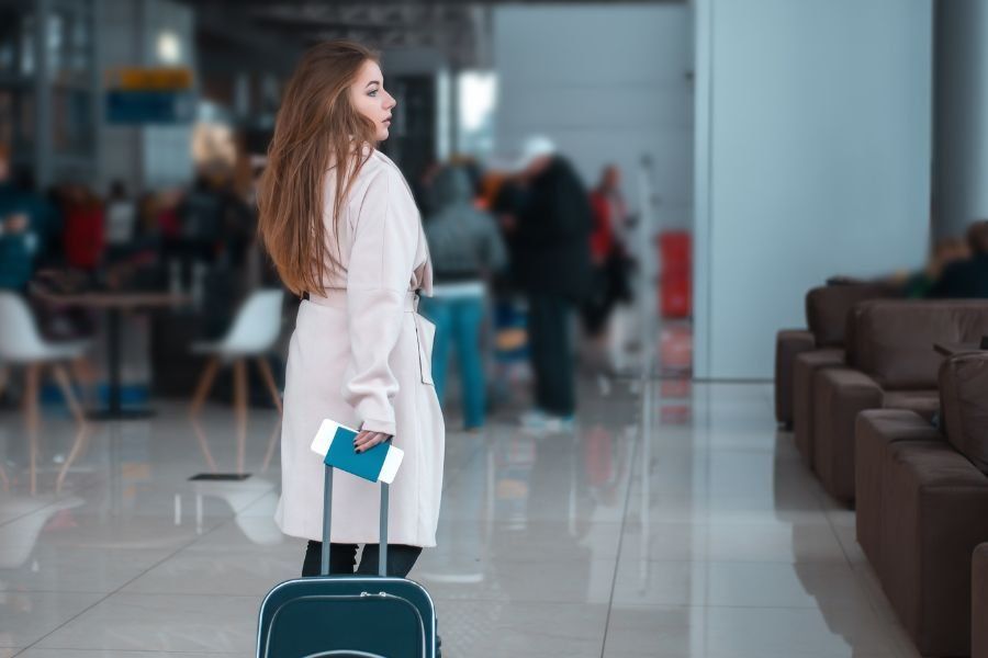 traveler, suitcase