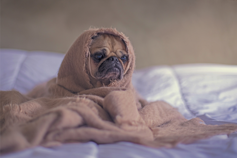 bed-rotting, hurkle-durkling, bed rot, hurkle durkle, rest, burn out