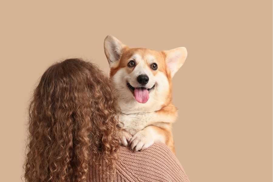 dogs; dogs favorite; dog's best friend; pets; people and pets; rescue animals