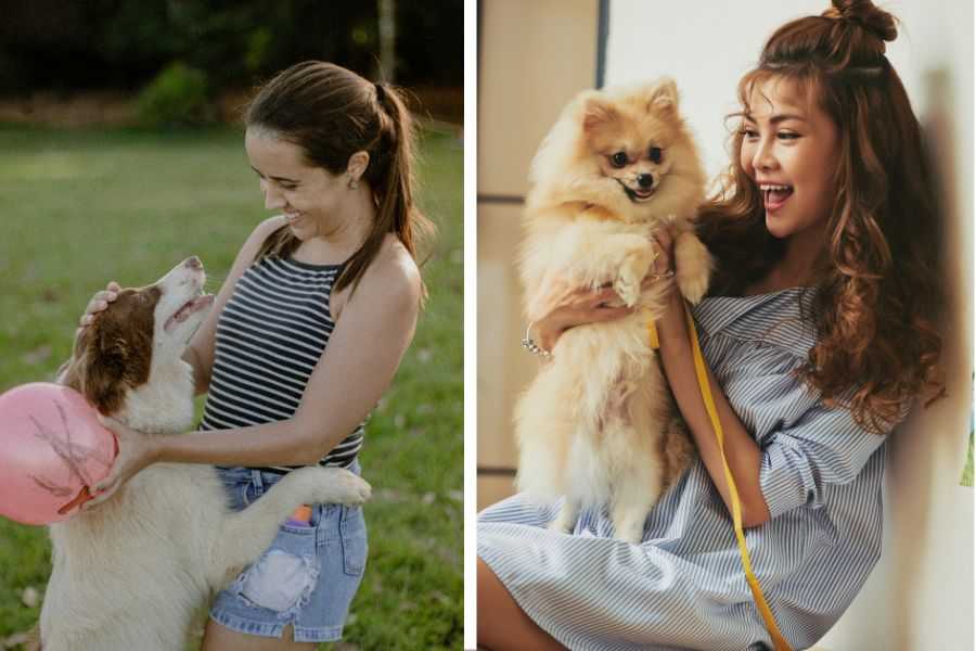 dogs; dogs favorite; dog's best friend; pets; people and pets; rescue animals