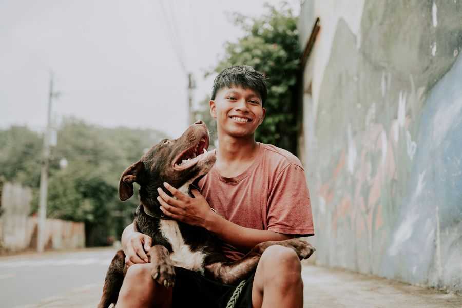 Dogs really do have favorite people, and here's how they decide who it will be