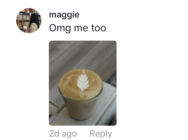 costco, costco tiramisu, costco tiramisu cups, tiramisu, reusable cups, sustainability