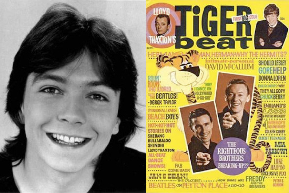 posters, bedroom posters, wall posters, boomers, gen xers, david cassidy, tiger beat