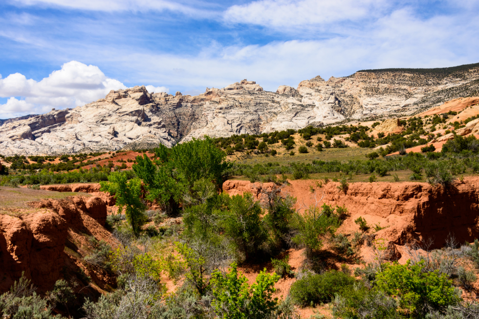 dinosaur national park, rejected, natural beauty, national park, national monument