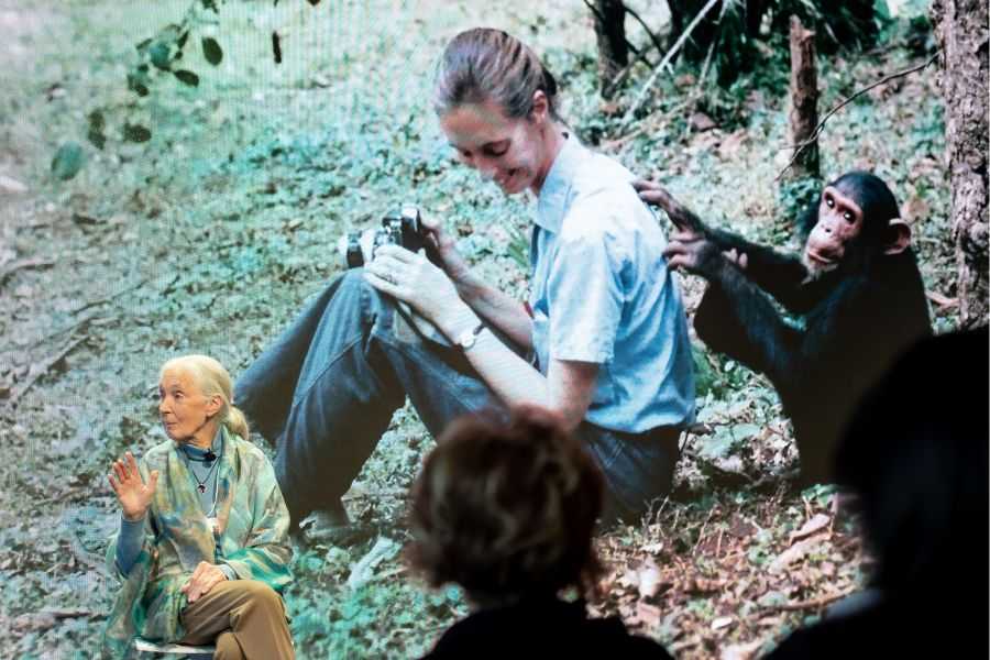 Jane Goodall; hope; surviving trying times; survival guide; chimpanzees; Jane Goodall Institute