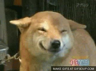 words, etymology, language, history, cool history, word nerds, english, english language, interesting 