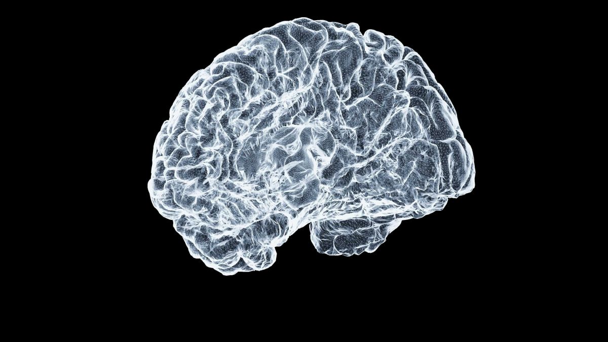 seniors, aging, longevity, brain, health, science, getting older, brain health, intelligence