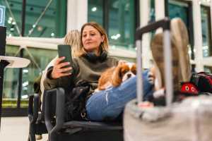 flying, airport, airplane, dog, flight etiquette