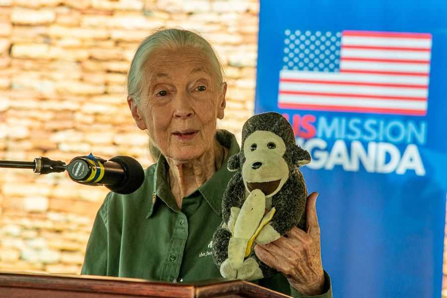 Jane Goodall; hope; surviving trying times; survival guide; chimpanzees; Jane Goodall Institute