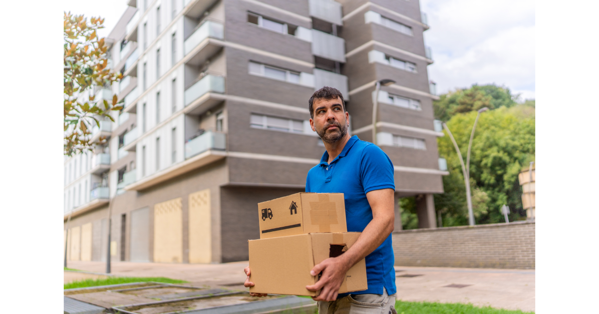 cardboard box, container garden, amazon box, growing vegetables, gardening