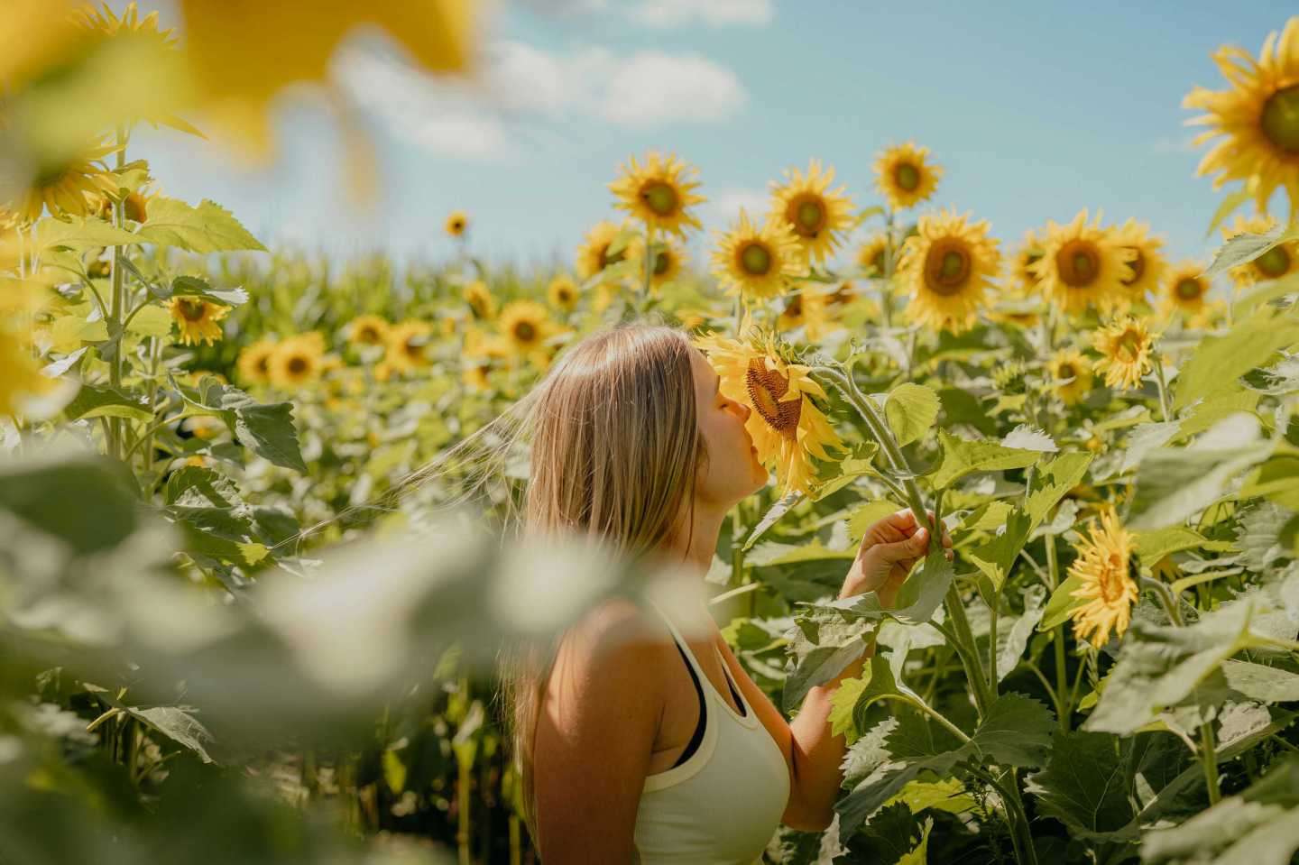 gratitude, flowers, healthy habits, love, wellness