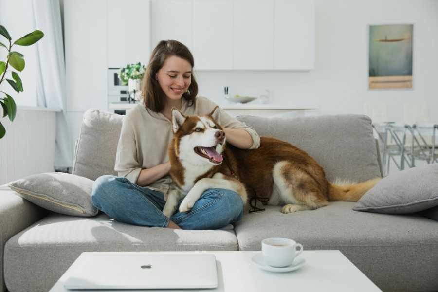 dog, pets, cozy, couple, marriage