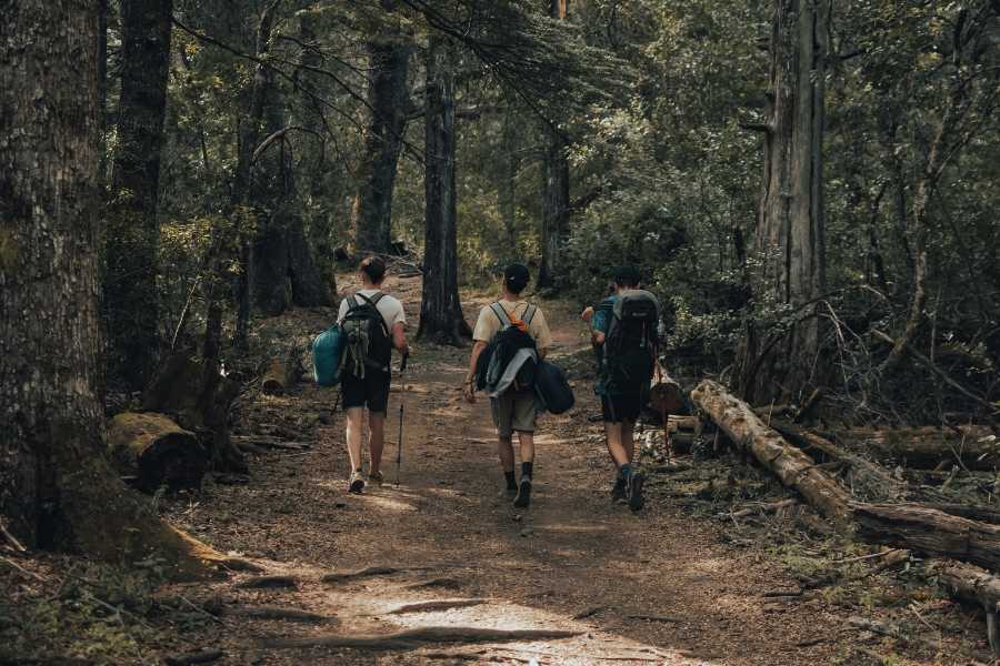 hiking, teens, high school, detention, outdoors