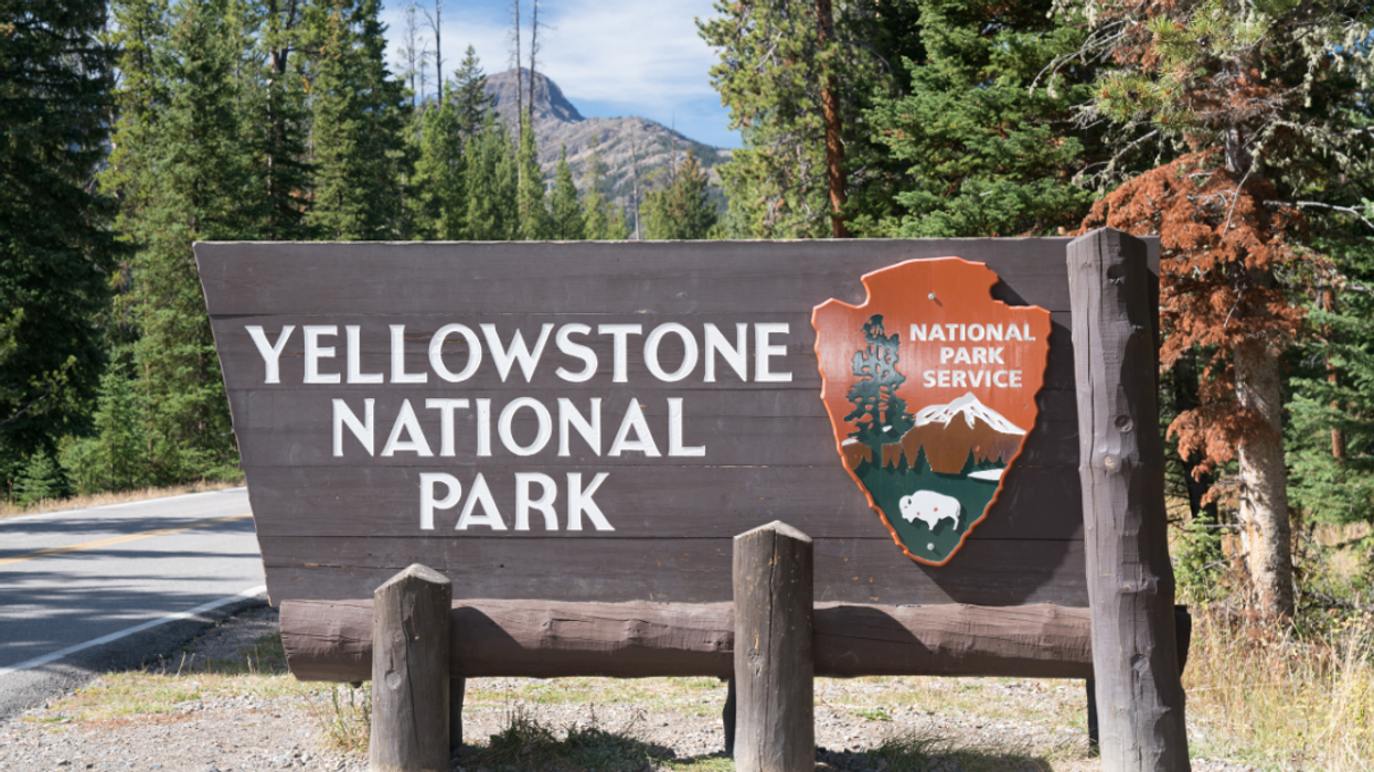 yellowstone, national park, tourism, economy, nature