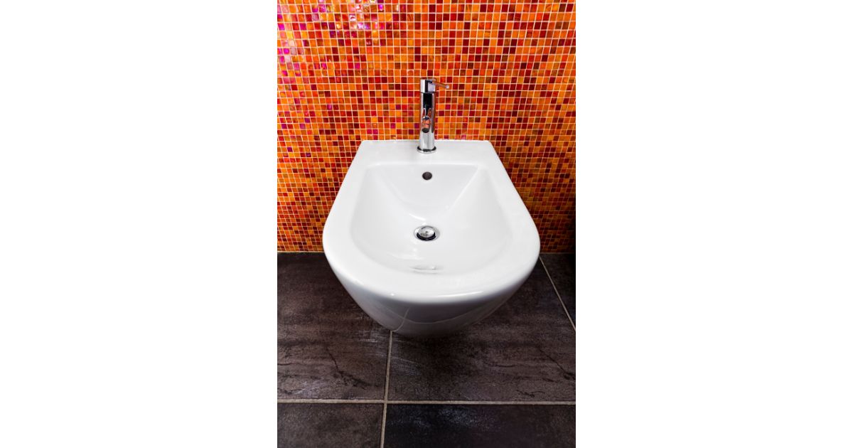 bidet, bidets, toilets, cleanliness, toilet paper