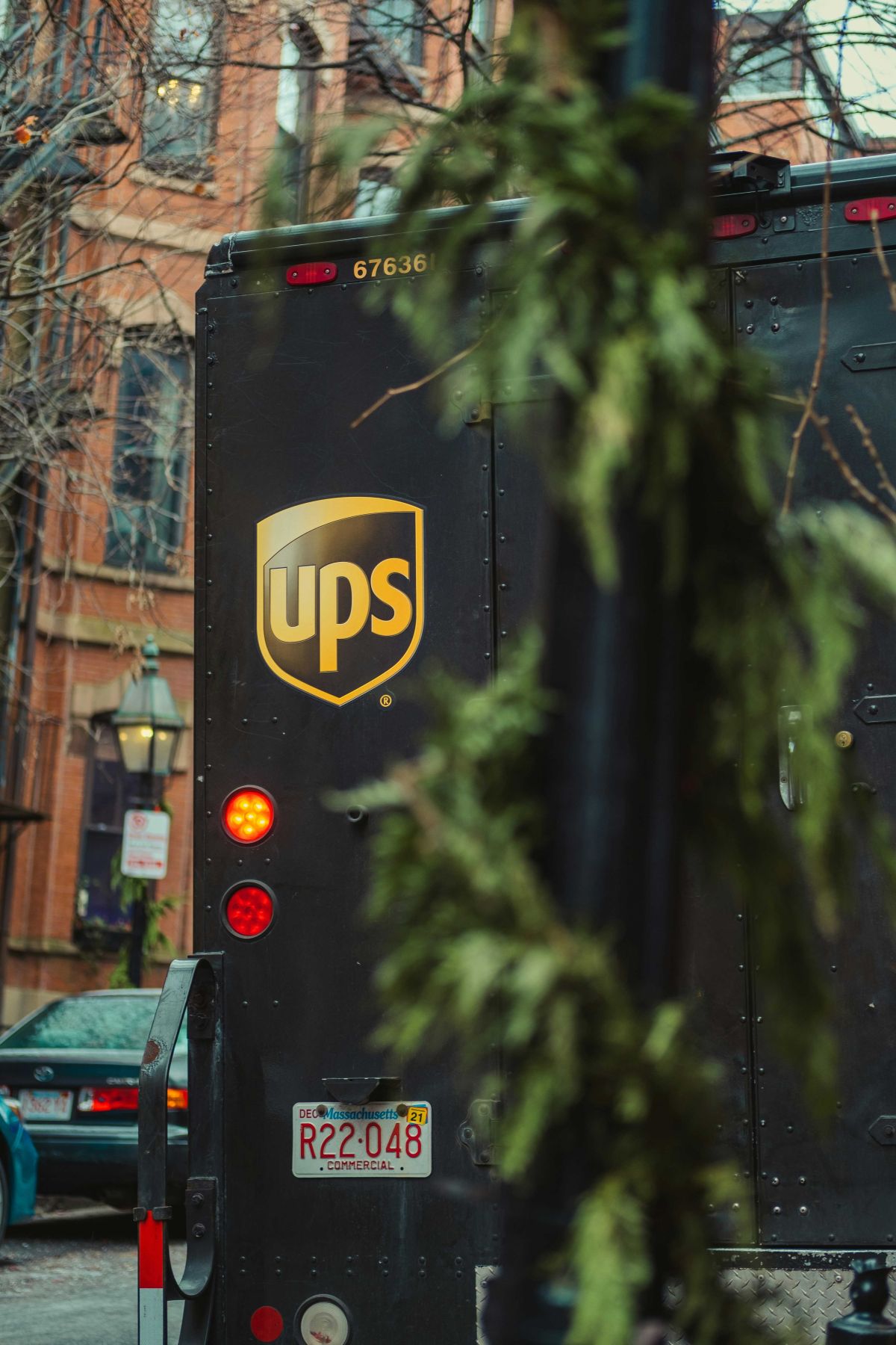 ups, delivery driver, delivery man, mailman, family cookout