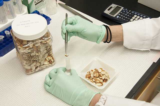 FDA, food regulation, food and drug administration, food contamination, ingredients