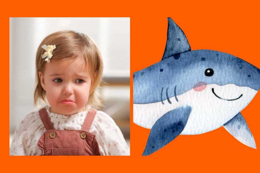 baby shark, viral video, sad girl, joy, metro