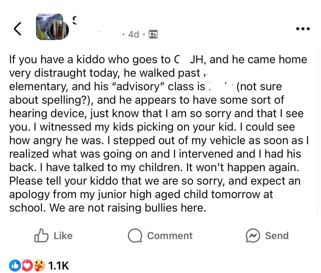 facebook, post, bullies, kids, parenting