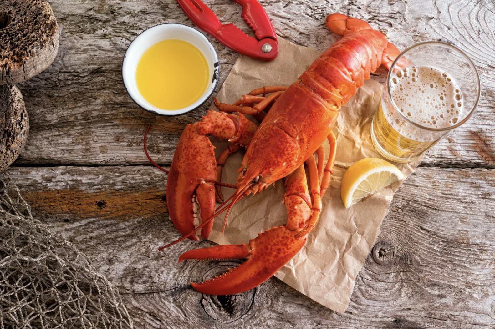 school lunch, South Korea, American food, nutrition, viral photo, Reddit, food culture, kids health, parenting, food debate