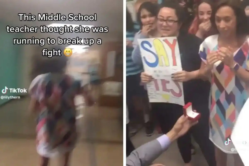 teacher proposal, students, fake fight