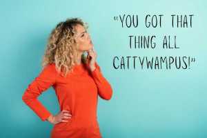 southern sayings; funny sayings; speaking southern; funny; silly; southern phrases