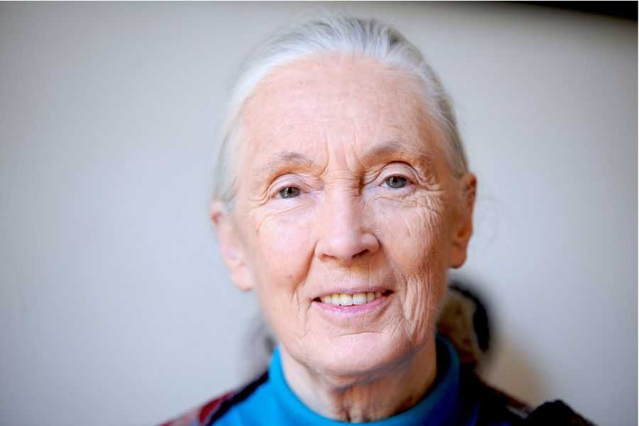 Jane Goodall; hope; surviving trying times; survival guide; chimpanzees; Jane Goodall Institute
