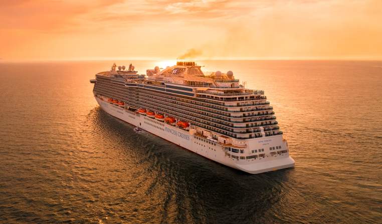 Couple retires to live on cruise ships because it’s roughly half the cost of a nursing home
