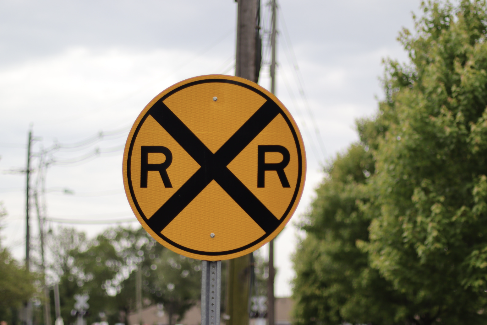 cultural misunderstandings, Reddit, American stereotypes, travel, funny stories, what foreigners think, U.S. geography, American culture, humor, AskReddit