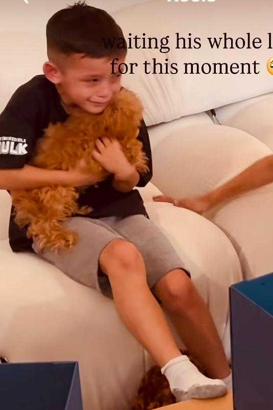 dog, siblings, puppies, dogs, birthday surprise, love