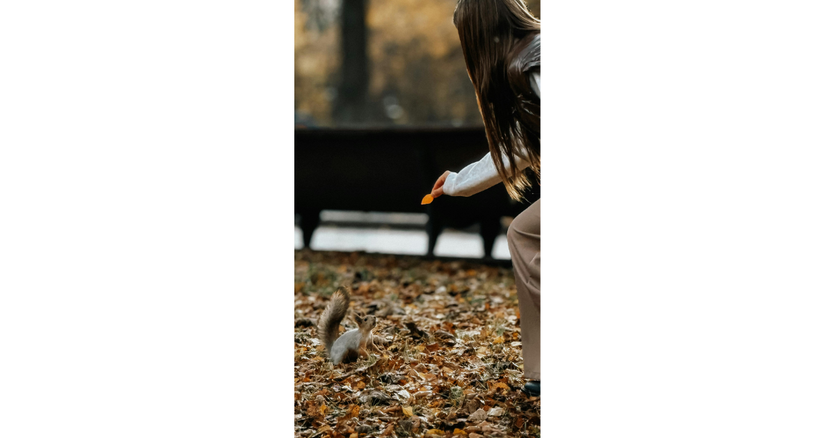Woman feeds squirrel daily and then it leaves a surprise treat at her door