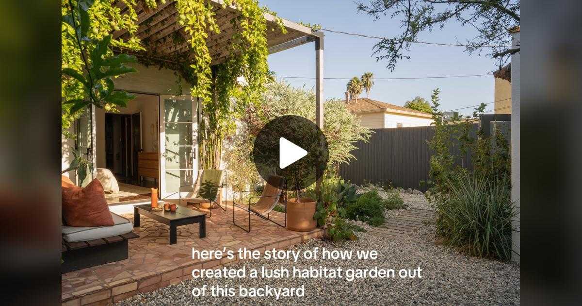 backyard, boring, dilapidated, renew, makeover, new, patio , diy, gardening, sustainability, making a garden