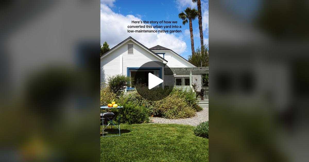 backyard, boring, dilapidated, renew, makeover, new, patio , diy, gardening, sustainability, making a garden