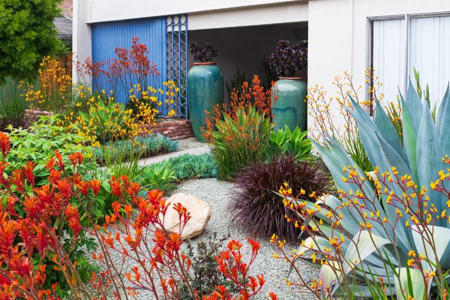 native garden, backyard transformation, native plants, gardening, landscaping, xeriscaping